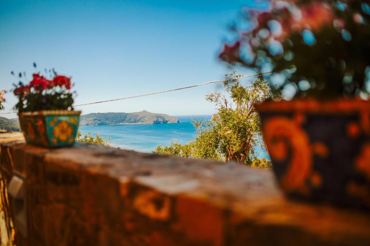 Aparthotel Residenza Golfo Degli Ulivi 3*